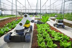 Scaling agriculture technology takes co-ordination