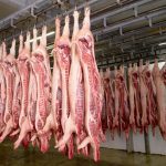 Photo: iStock/Getty Images
