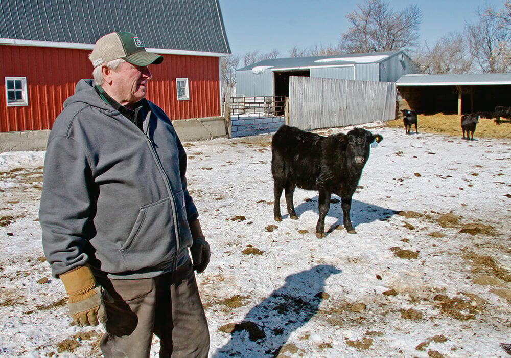 Bill Campbell was a passionate advocate for Limousin cattle, serving the provincial and national organizations. 