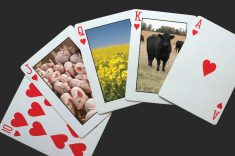 Manitoba readies its hand against Trump tariff threat