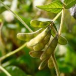 Photo: saraTM/iStock/Getty Images
