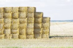 A stack of straw bales awaits removal from a harvested field southeast of Manitou. 