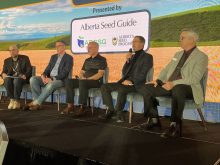 (left-right) Panel moderator Marc Zienkiewicz, SeCan’s Todd Hyra, University of Saskatchewan researcher Stuart Smyth, retired AAFC breeder Robert Graf and Canadian Wheat Research Coalition chair Dean Hubbard discuss what happens if Agriculture and Agri-Food Canada bowing out of field-ready wheat development during the CrossRoads Crop Conference Jan. 28-29 in Edmonton.