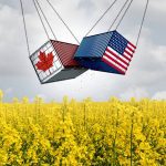 Canola prices could swing, with or without tariffs