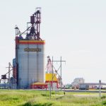 Grain eligibility declarations have gotten more complicated in recent years.