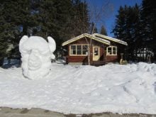 A bison head snow sculpture greets visitors to the Friends of Riding Mountain building in Wasagaming.