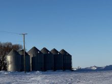 It’s important to keep a close eye on your canola bins during winter. Monitoring, aeration, taking samples and using fans or ‘spinning the bins’ can help keep heat down in the canola bin. 