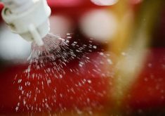 CropLife Canada says competitiveness should outweigh the Pest Management Regulatory Agency’s priorities for their proposed changes. PHOTO: FILE