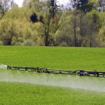 Photo: alisbalb/iStock/Getty Images
