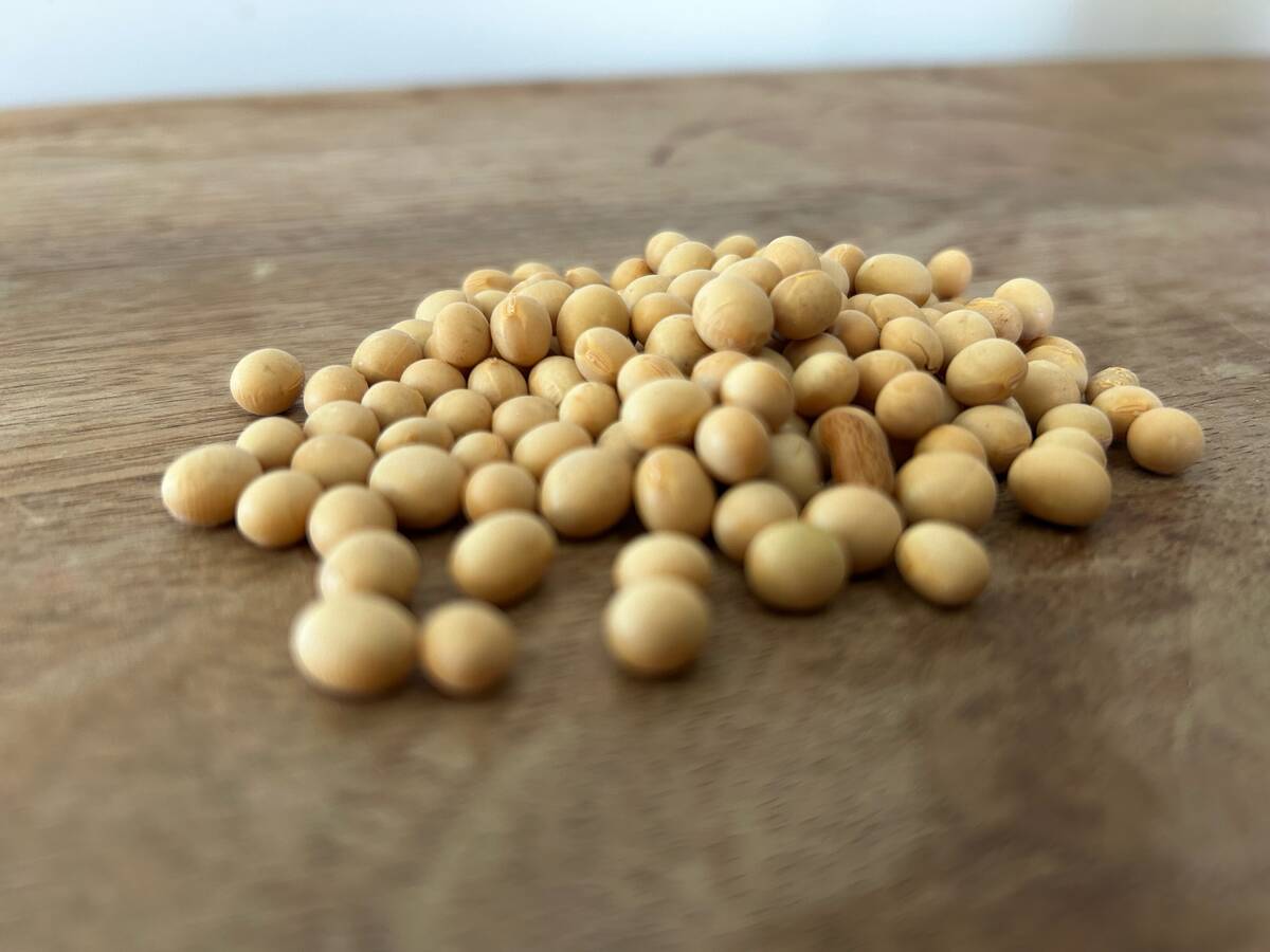Canola prices for Canadian farmers often follow Chicago soyoil prices. 