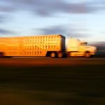 Federal Government to remove some barriers to interprovincial trade