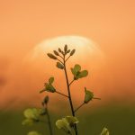 (Brett Holmes Photography/iStock/Getty Images)
