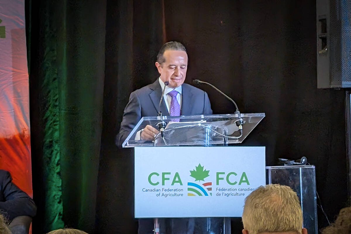 Canadian, Mexican agri-food sectors must co-operate amid tensions with U.S. says ambassador

