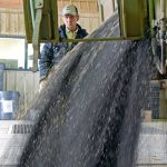 Canola sector sees tariff pain ahead
