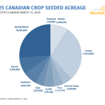 Canada to seed more wheat, less canola in 2025: StatCan