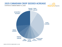Canada to seed more wheat, less canola in 2025: StatCan