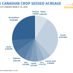 A pie chart showing 2025 Canadian crop seeded acreage, sourced from Statistics Canada