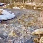 Spring runoff on April 27, 2022 at the Pembina Escarpment near Miami, Man., about 40 km northwest of Winkler. (Manitoba Co-operator/Allan Dawson video screengrab)
