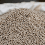 Photo: Getty Images Plus
