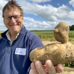 A duck-shaped Russet Burbank tickled Dr. Ian Tetlow’s funny bone during the Elora Potato Research Open House in August 2024, where he discussed his upcoming stored potato cold-sweetening research.