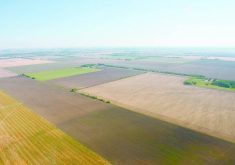 Manitoba farmland continued to increase in price in 2025.