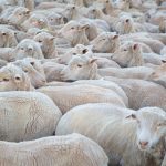 (Byronsdad/iStock/Getty Images)