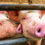 (FooTToo/iStock/Getty Images)
