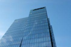 Photo: Liam O&#8217;Connor
