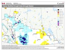 Heading into spring, much of the Prairie region has average soil moisture, according to the Palmer Drought Index, with the western part of the region showing above-average levels. The largest areas with below-average soil moisture are the northern part of the Peace region, a pocket straddling the central border of Manitoba and Saskachewan, and a similar pocket at the southern portion of that provincial boundary.