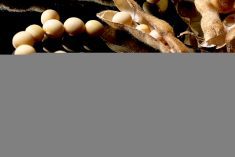 Photo: iStock/Getty Images