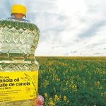 Canadian farm groups speak out on tariffs
