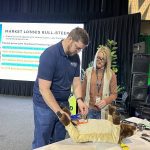 Jodi Suchoplas demonstrates elastic band castration techniques with an audience member on her plush demo calf “Shorty,” during Manitoba Ag Days 2025.