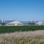 Two hog barns in Northwest Iowa, USA. Photo: DS70/Getty Images Plus
