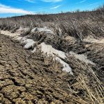 March brought very dry conditions in most of the Prairies, with warm temperatures in Alberta and southeastern Manitoba and below average temperatures elsewhere. 