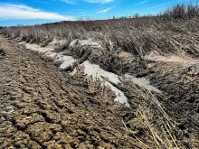 March brought very dry conditions in most of the Prairies, with warm temperatures in Alberta and southeastern Manitoba and below average temperatures elsewhere. 