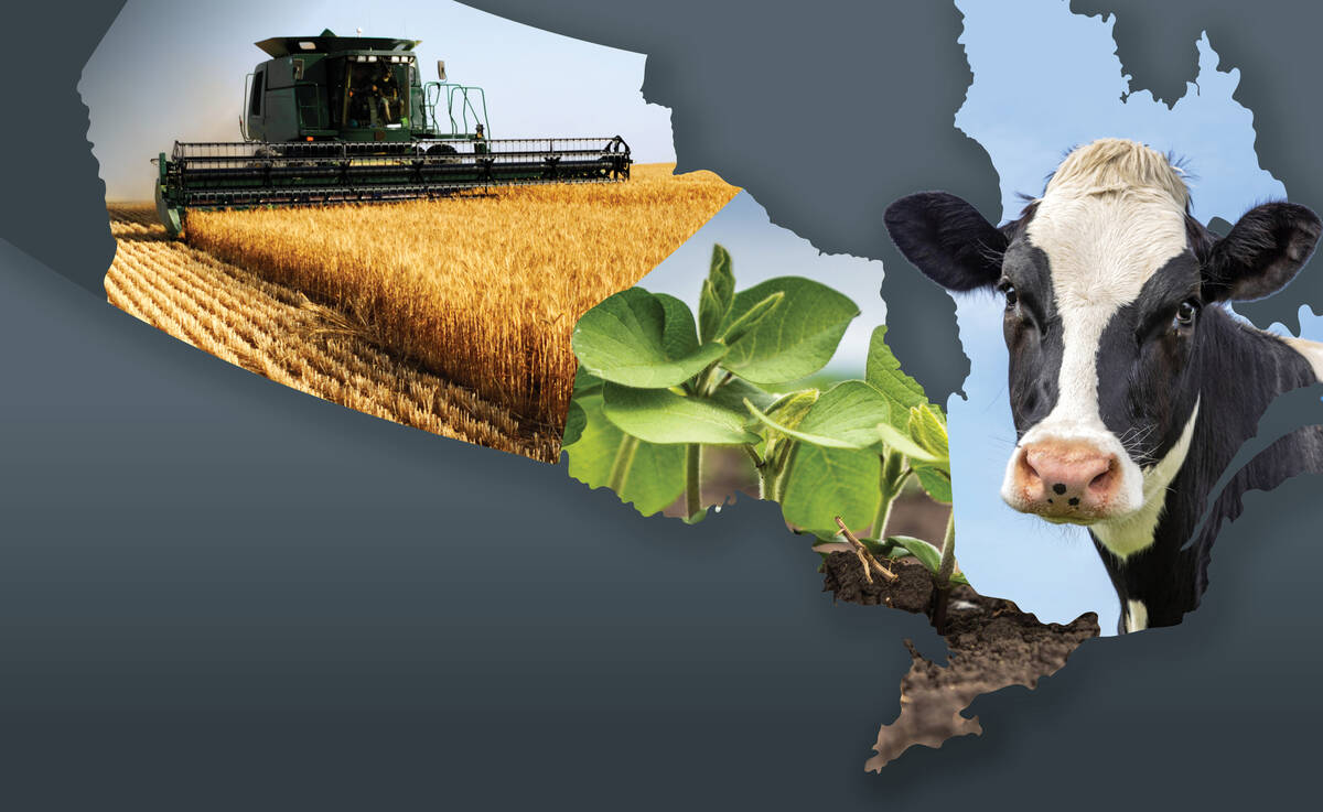 Tariffs and trade, business risk management and a lack of spotlight on agricultural issues are all top of farmer minds as Canada goes into its next federal election. 