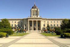 Morden-Winkler MLA Carrie Hiebert has introduced a new bill farm ID bill that she says could cut down on red tape for farmers and agricultural retailers across the province. 