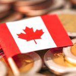 Waving Canadian flag not enough to keep rural business afloat