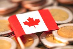 Waving Canadian flag not enough to keep rural business afloat
