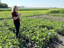 Manitoba Agriculture weed extension specialist, Kim Brown. 
