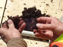 Organic farmers do not soil test as much as conventional farmers do, but it’s important to understand the nutrient levels in all soils used for crop production.