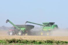 A grain cart and combine at work on a soybean field in Manitoba’s Pembina Valley region.