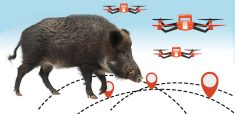 Researchers across the Prairies and Canada are turning to technology to tackle invasive swine. 
