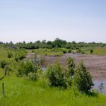 The MFGA plans to use $130K in funding to model how climate change will affect water resources in key Manitoba watersheds and guide agricultural adaptation.