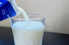 Canadian dairy needs winds of change