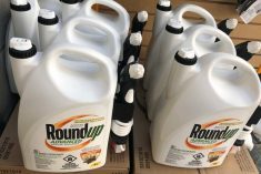 If glyphosate goes, what replaces it on Canadian farms?