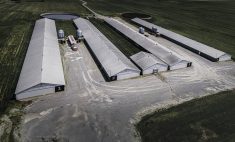 A hog barn is pictured from an aerial view.