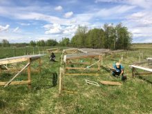 Researchers from the University of Alberta used rainout shelters to simulate drought conditions at seven locations across Alberta, to see how drought affected plant leaves and root biomass. 