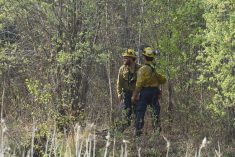 Firefighters near Lac Du Bonnet scrambled to put out a fast-moving wildfire that sparked May 13 at the same time as large wildfires were burning in several other areas of the province, including near The Pas. 
