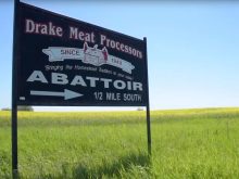 The new facility, to be constructed in Saskatoon, will be 53,000 sq. feet and include technology advancements such as a state-of-the-art tempering room, an automated bacon line, an automated injection system and natural gas smokehouses. Photo: Screencap via youtube.com/@drakemeats1447
